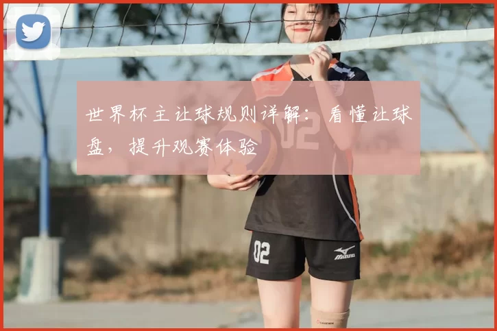 世界杯主让球规则详解:看懂让球盘,提升观赛体验