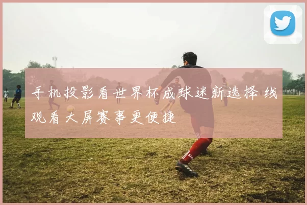 手机投影看世界杯成球迷新选择 线观看大屏赛事更便捷