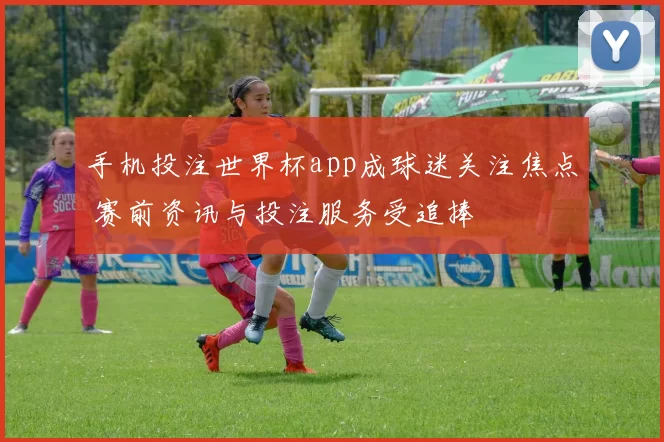 手机投注世界杯app成球迷关注焦点 赛前资讯与投注服务受追捧