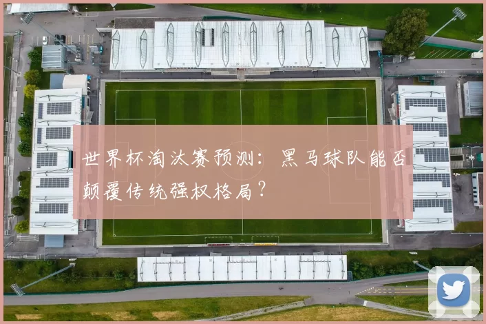 世界杯淘汰赛预测:黑马球队能否颠覆传统强权格局?
