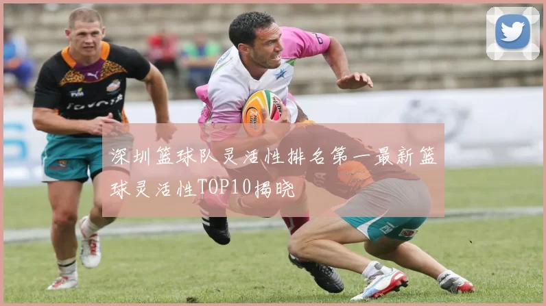 深圳篮球队灵活性排名第一最新篮球灵活性TOP10揭晓
