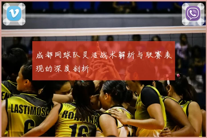 成都网球队灵活战术解析与联赛表现的深度剖析