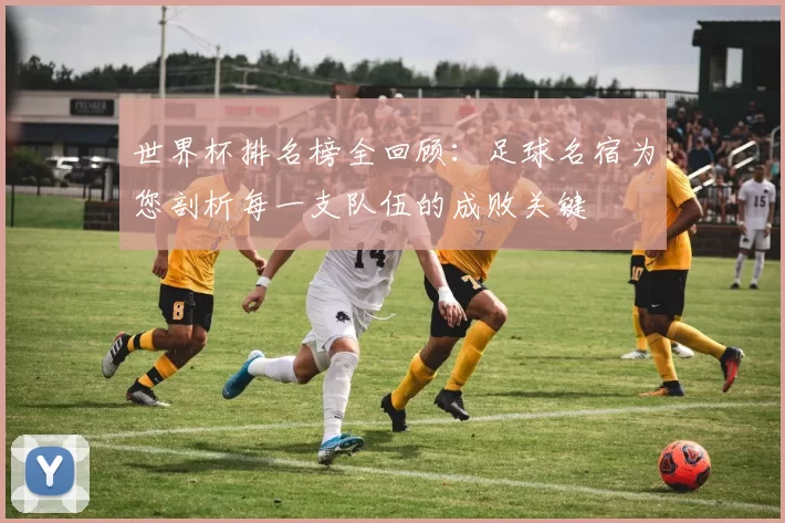 世界杯排名榜全回顾:足球名宿为您剖析每一支队伍的成败关键